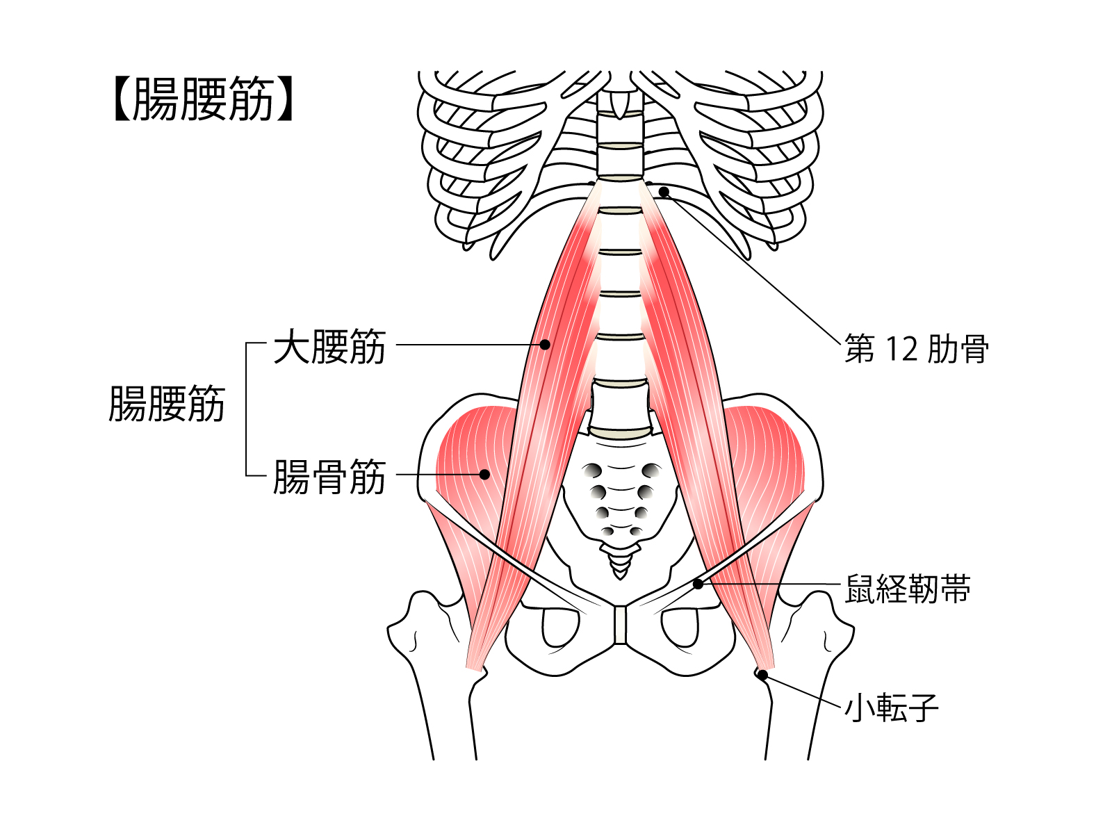 https://medical-seitai-academy.com/wp-content/uploads/2026/04/1464778.jpg